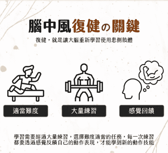 腦中風復建運動 腦中風復建運動