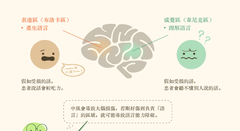 中風失語症定義 中風失語症定義